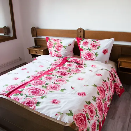 Hotel Herzog's Ulsterbruecke Garni 2*