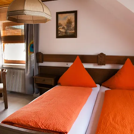 Herzog's Ulsterbruecke Garni 2* Tann (Rhon)