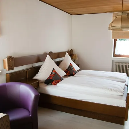 Herzog's Ulsterbruecke Garni 2* Tann (Rhon)