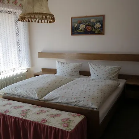 Hotel Herzog's Ulsterbruecke Garni 2*